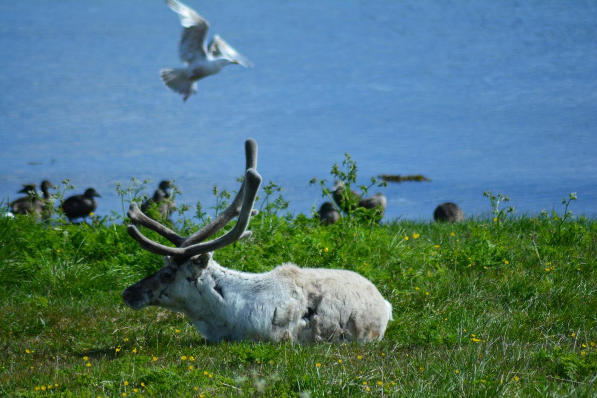 Arctic Hotel Nordkapp Honningsvåg Dış mekan fotoğraf